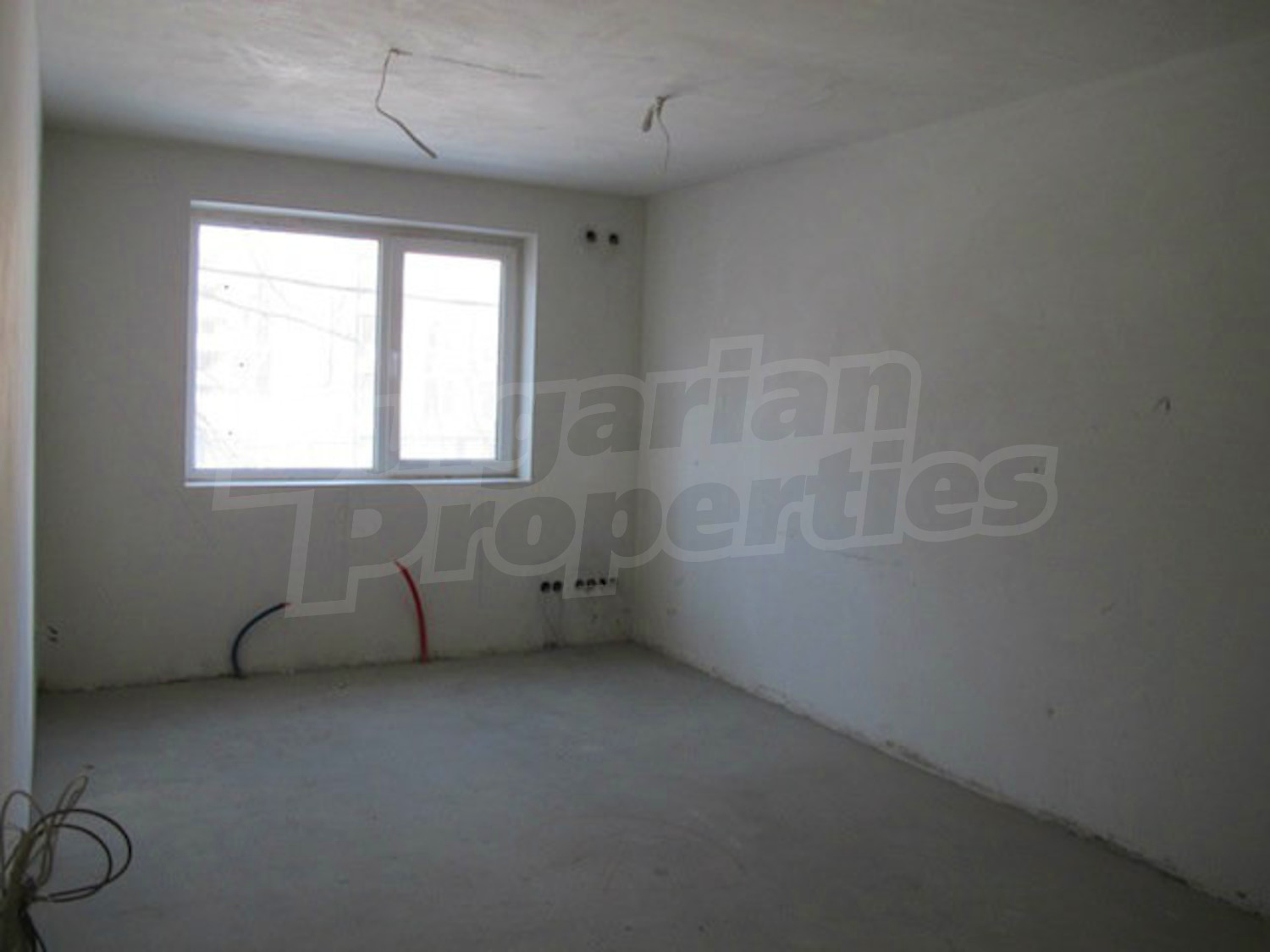 Gallery Picture 8