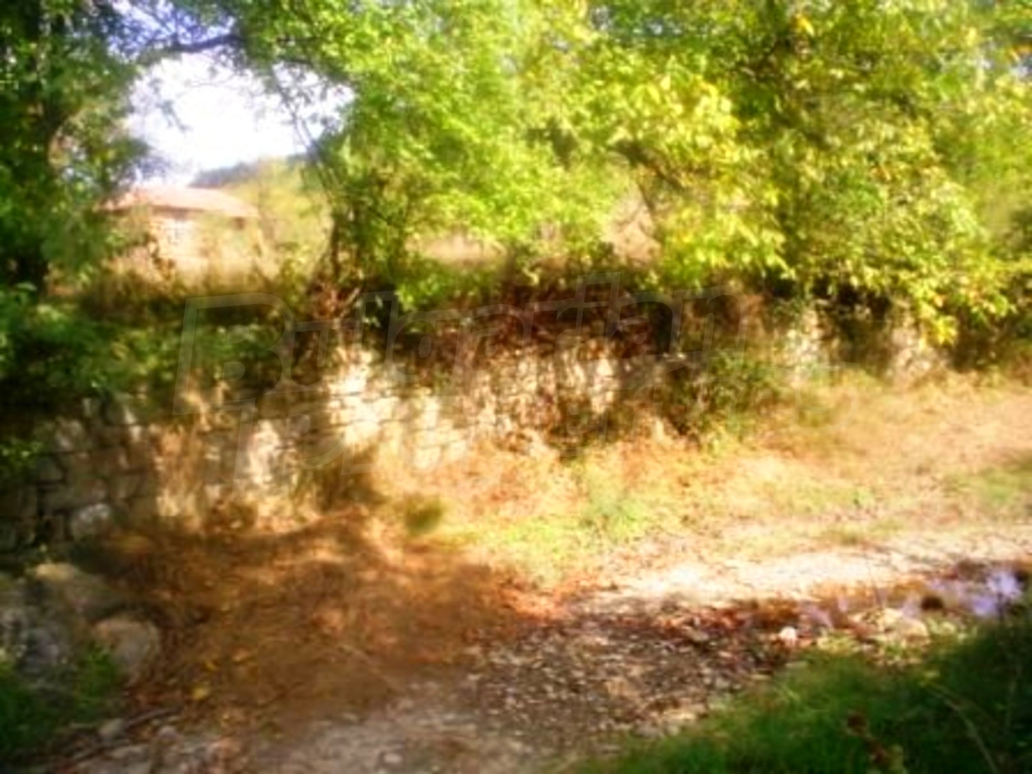 Gallery Picture 9