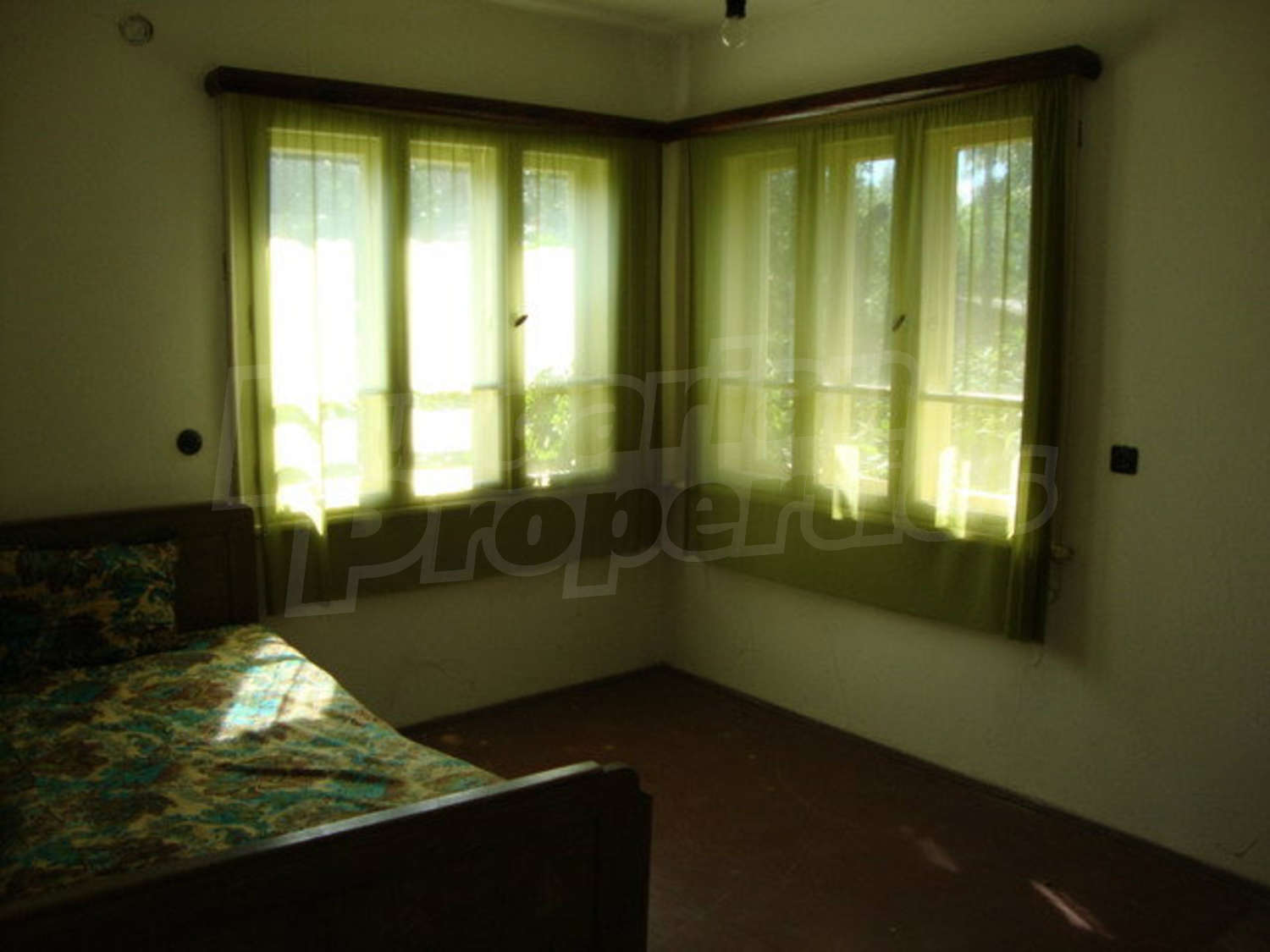 Gallery Picture 13
