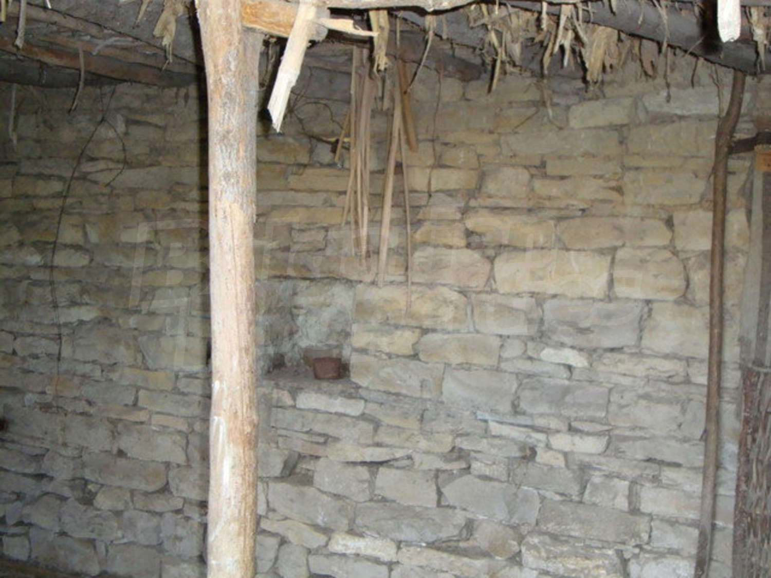 Gallery Picture 23