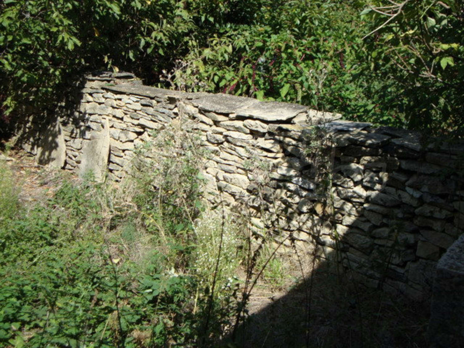 Gallery Picture 24