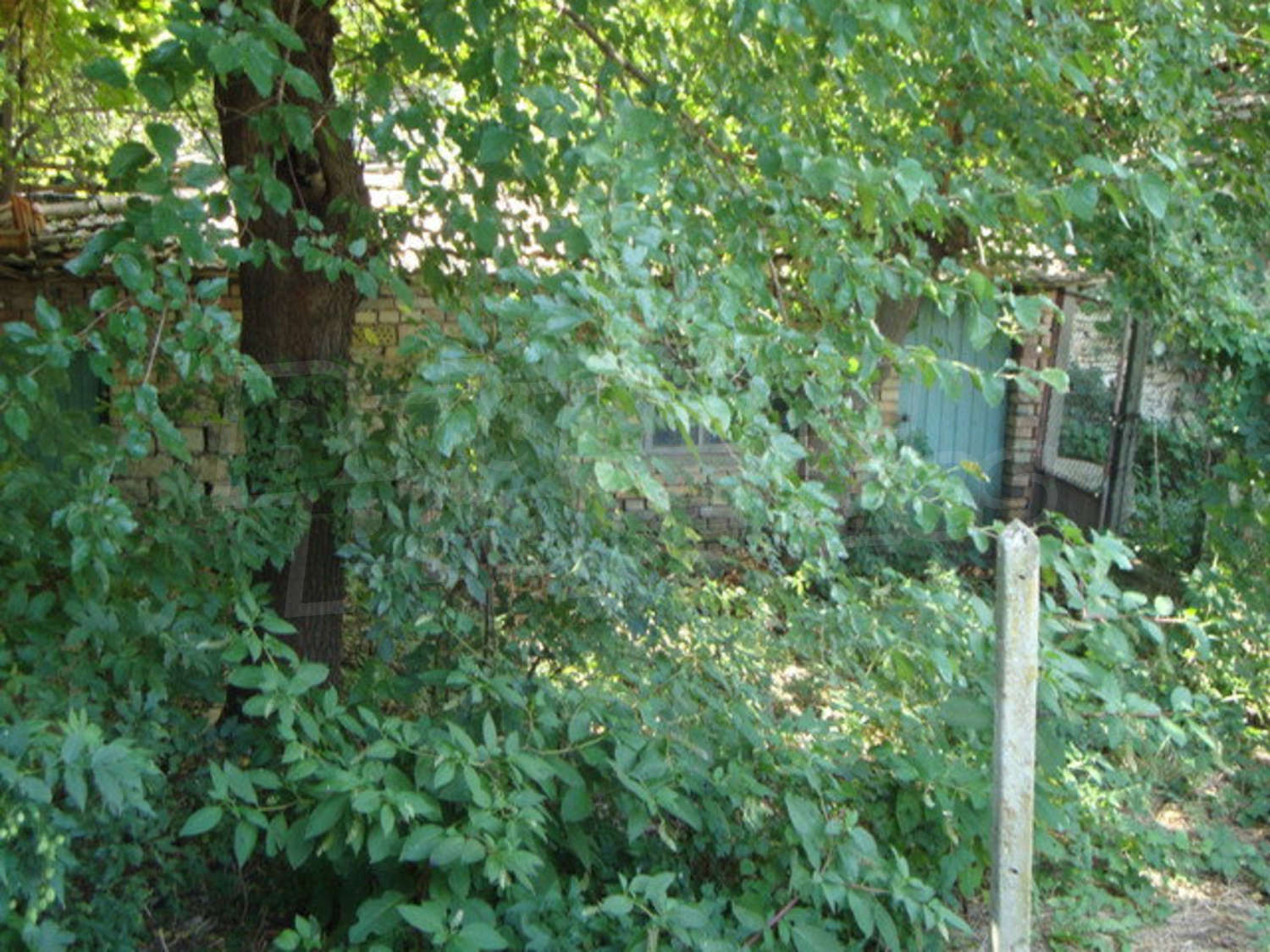 Gallery Picture 26