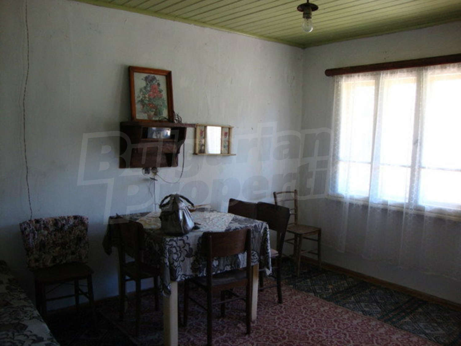 Gallery Picture 28