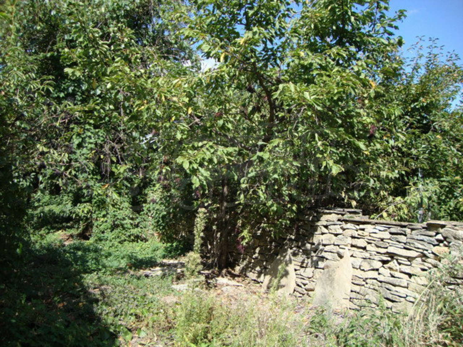 Gallery Picture 31