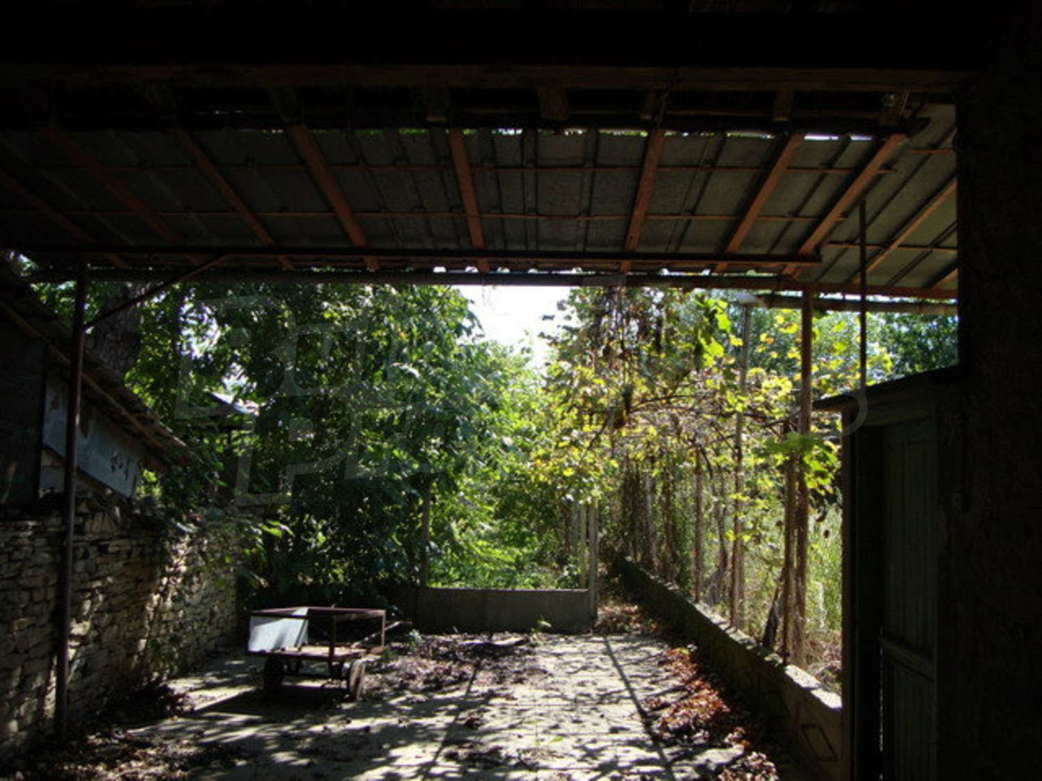 Gallery Picture 32