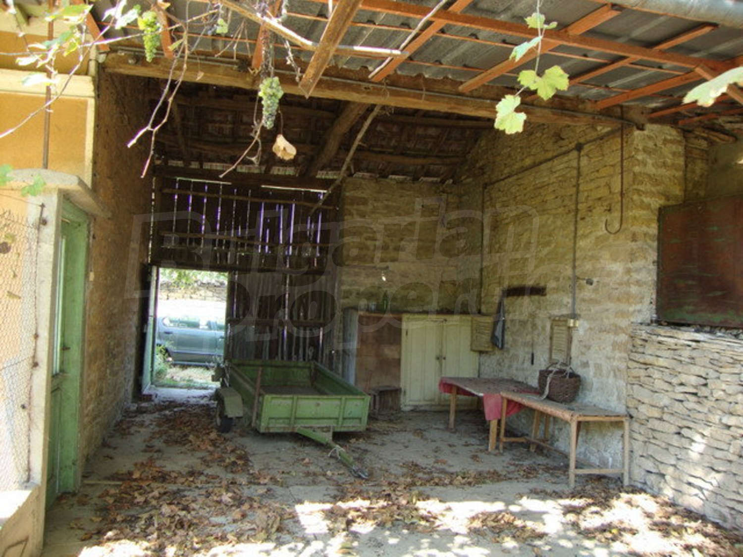 Gallery Picture 7