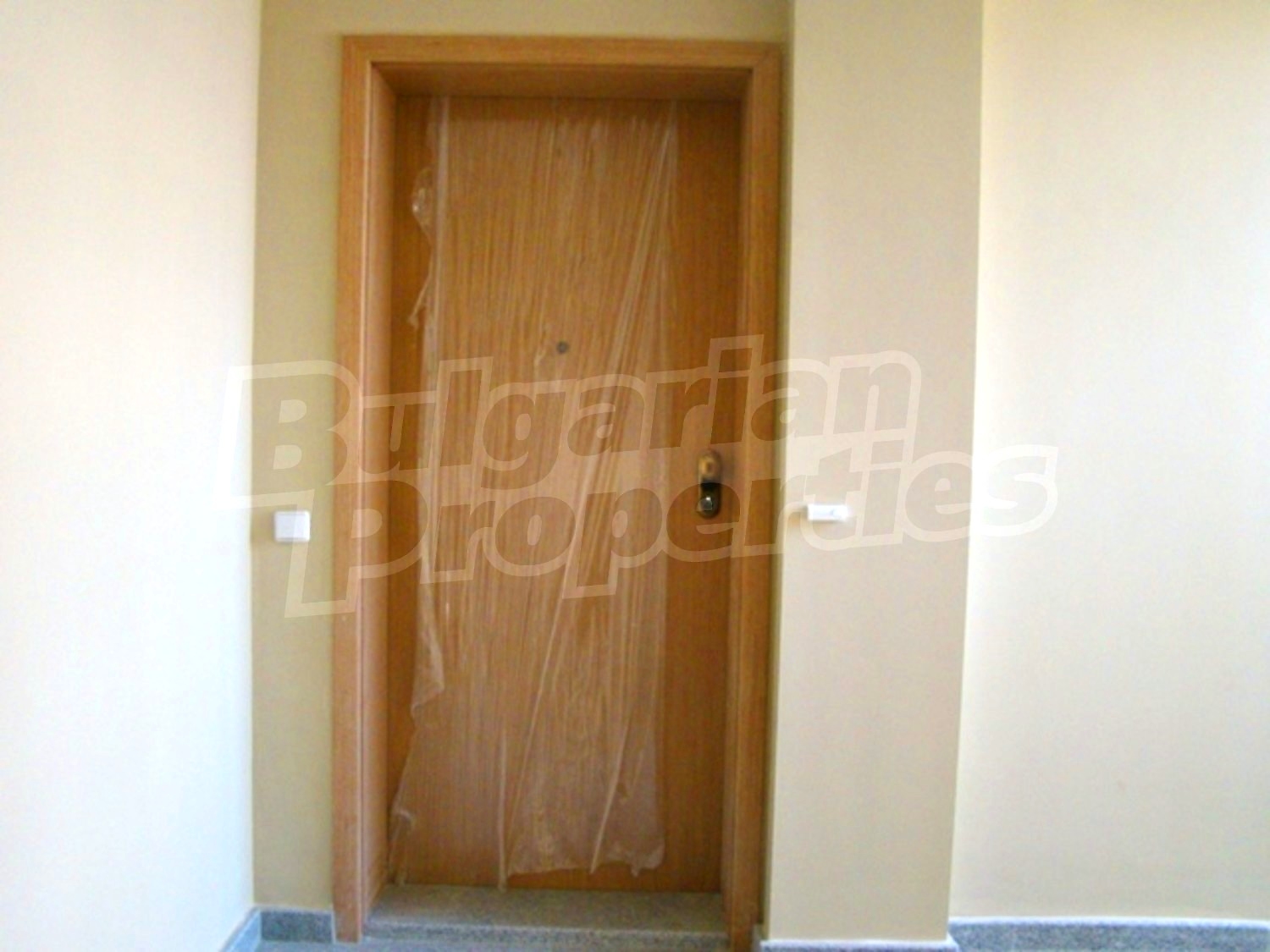 Gallery Picture 7