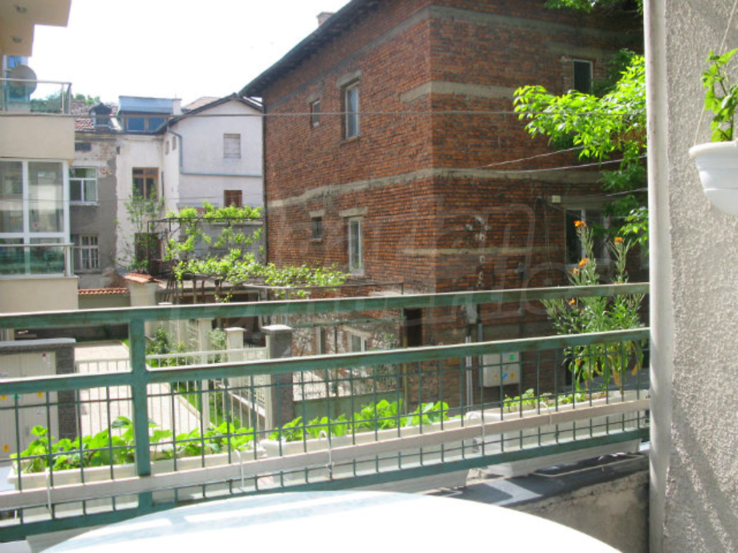 Gallery Picture 14