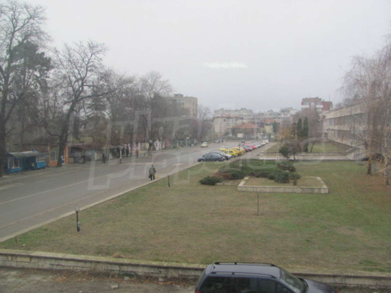 Gallery Picture 21