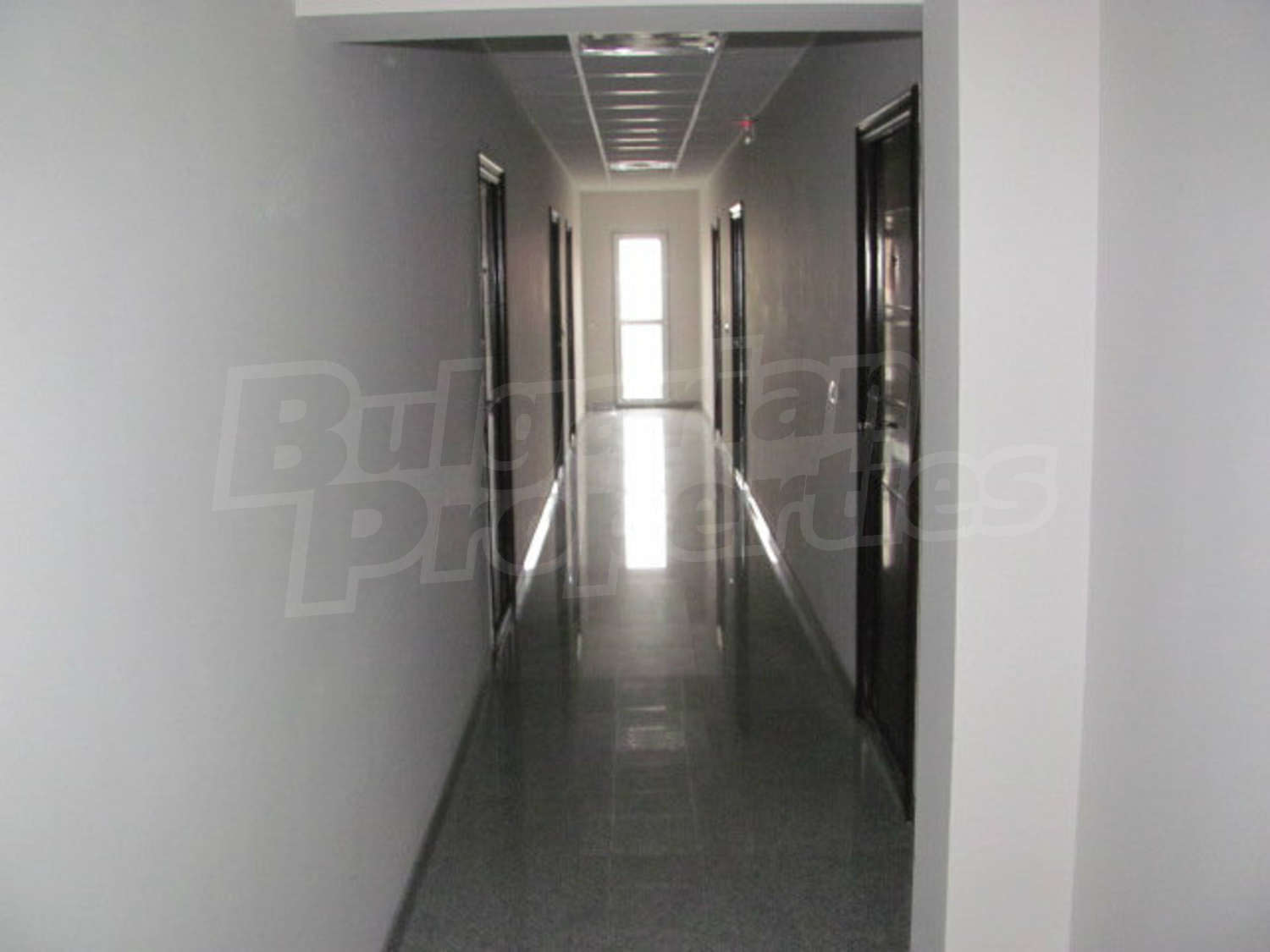 Gallery Picture 24