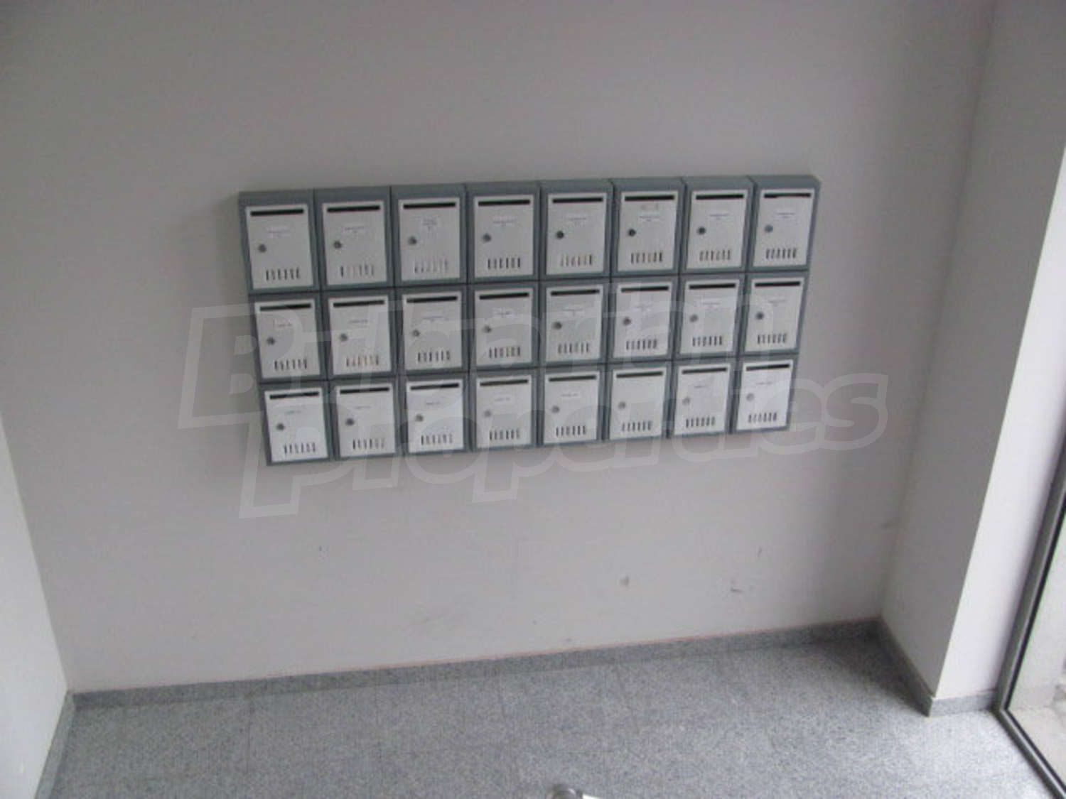 Gallery Picture 25