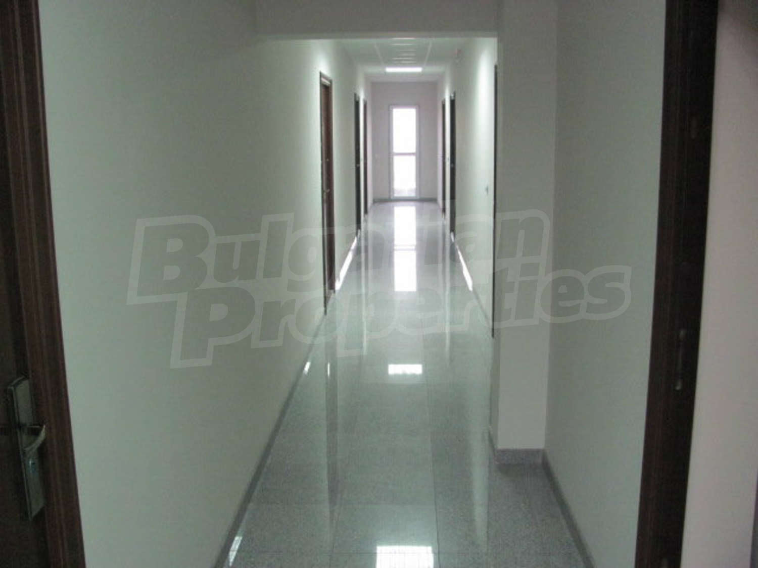Gallery Picture 5