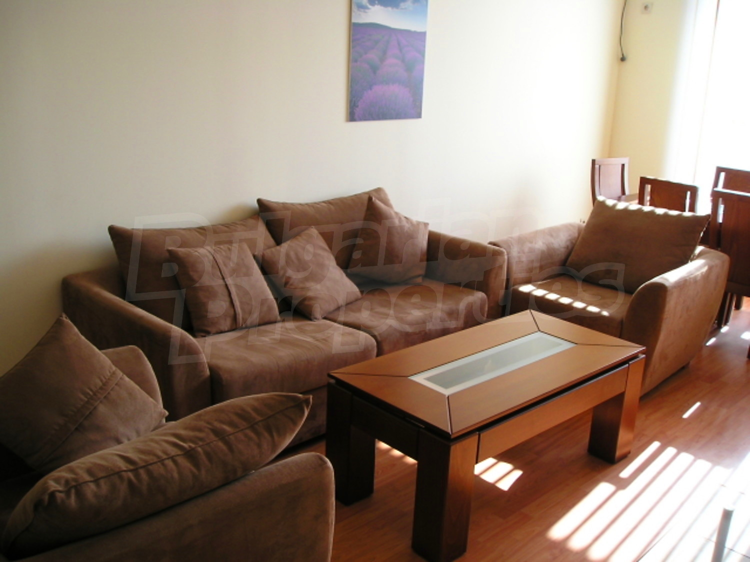 Gallery Picture 24