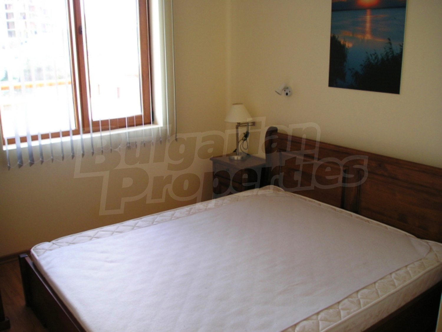 Gallery Picture 32