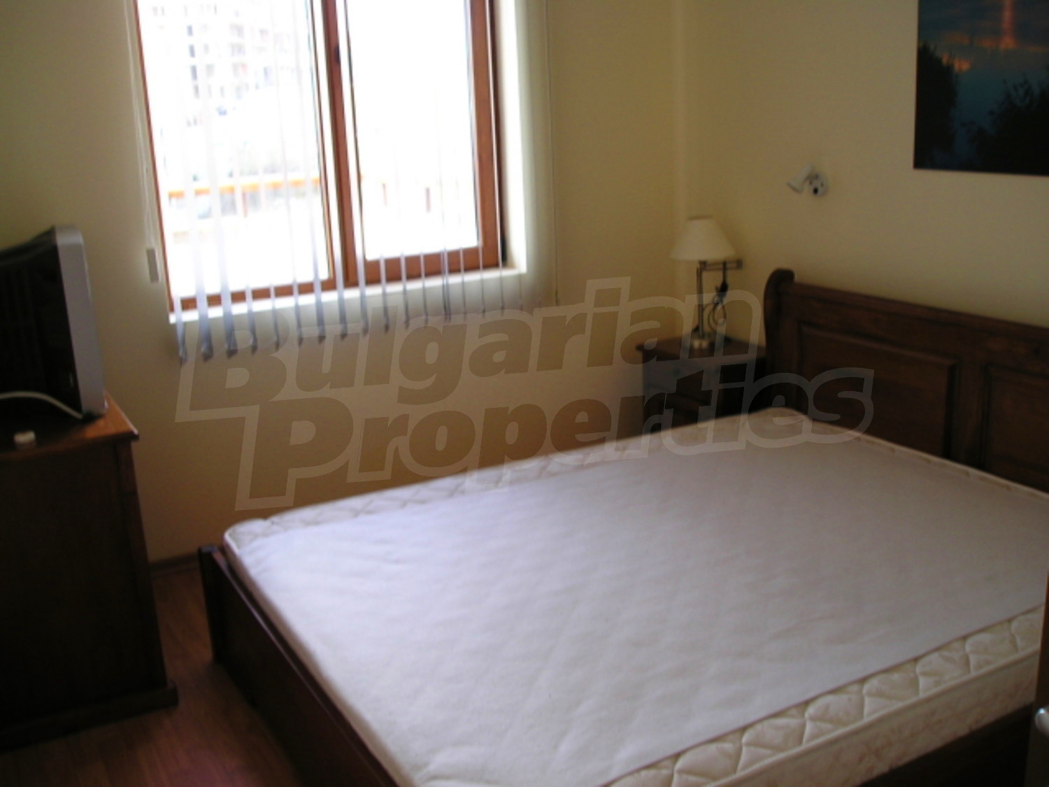 Gallery Picture 34