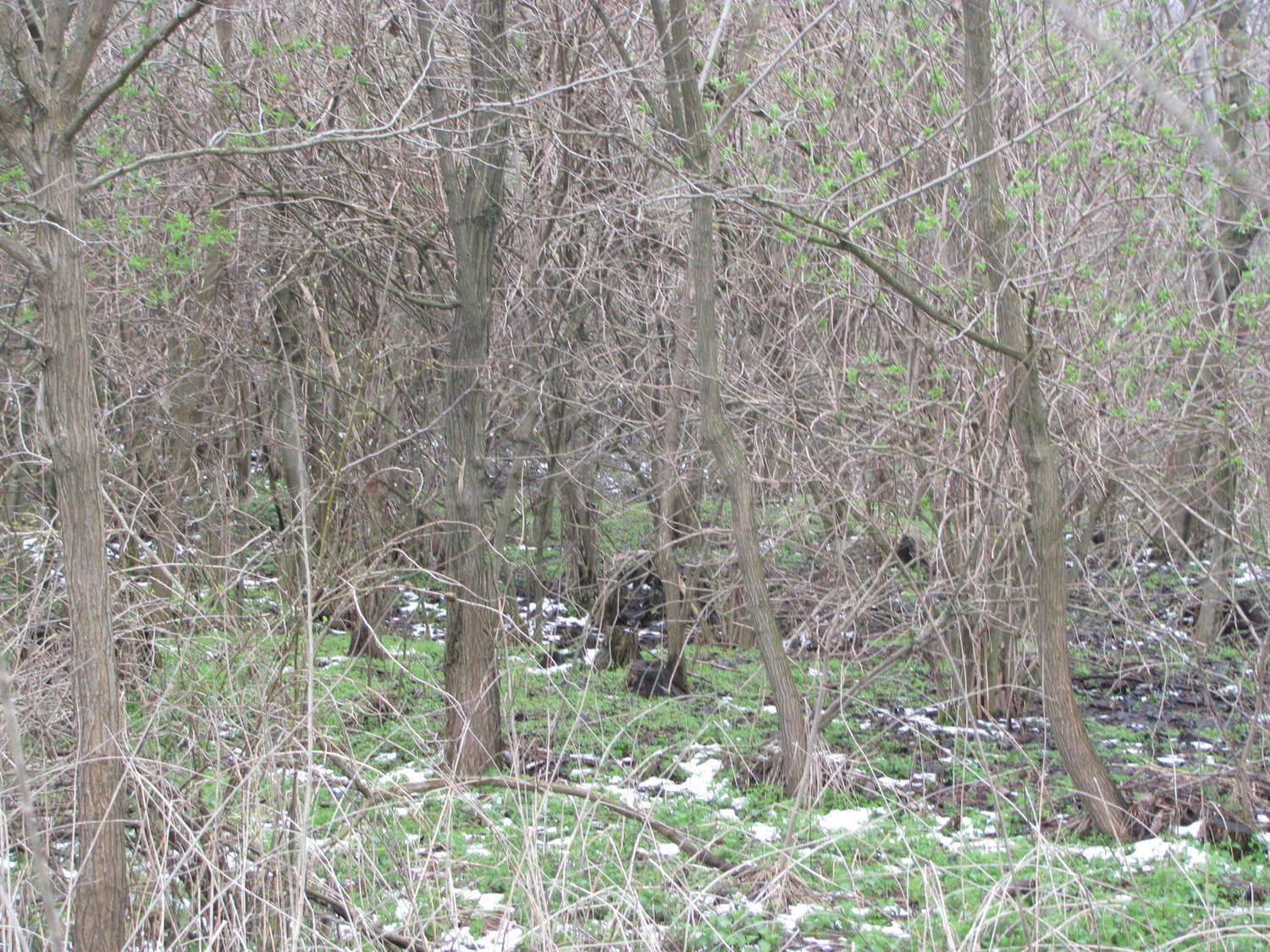 Gallery Picture 6