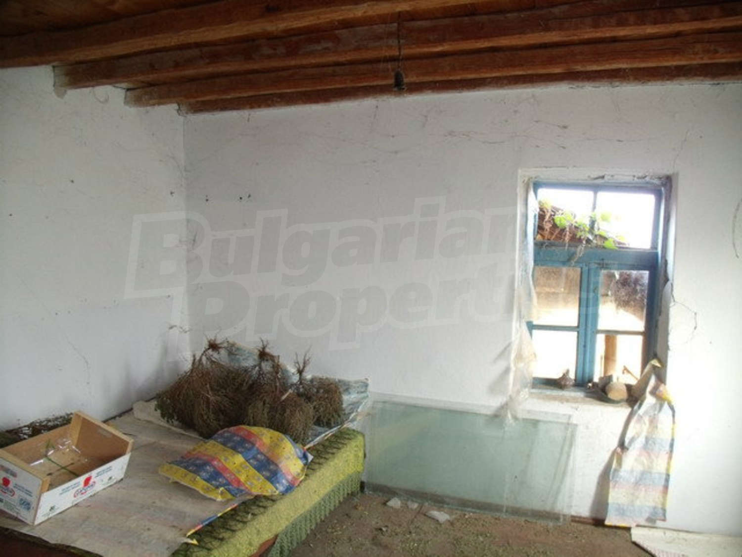 Gallery Picture 10