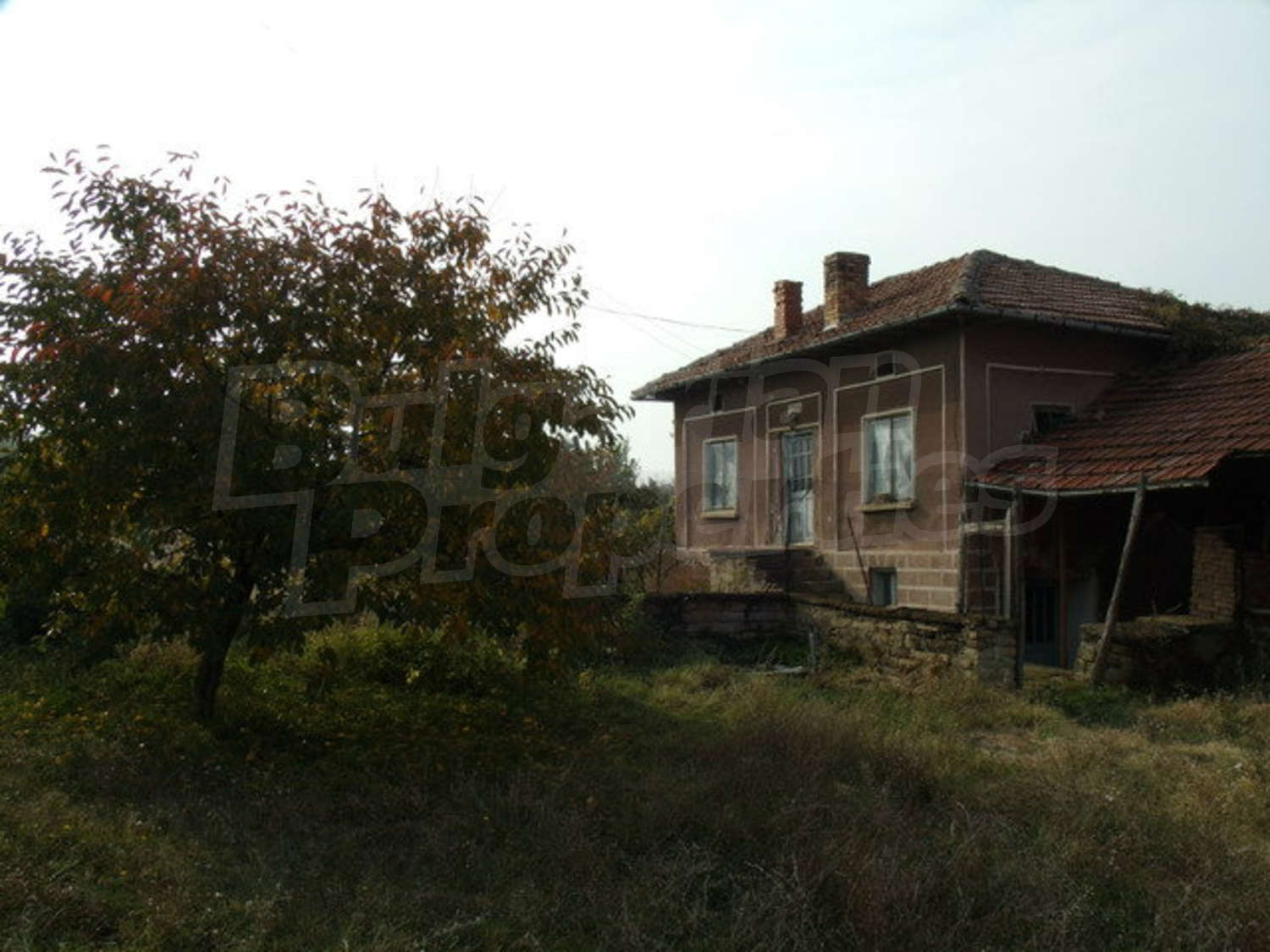 Gallery Picture 4