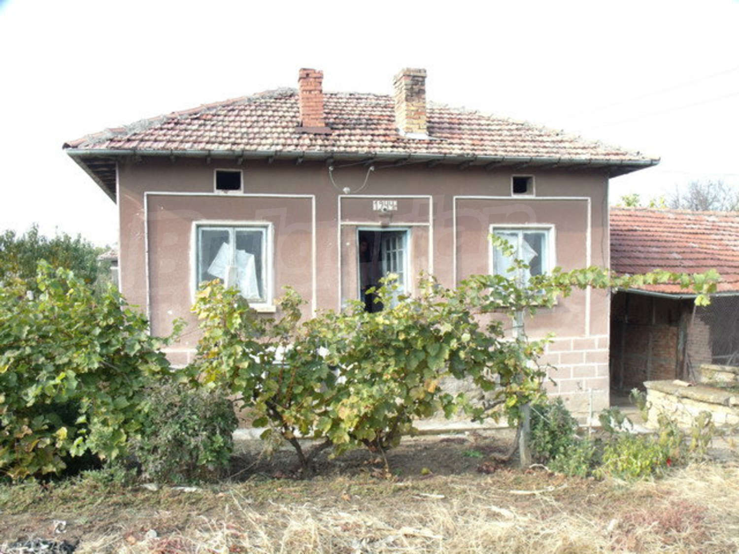 Gallery Picture 6