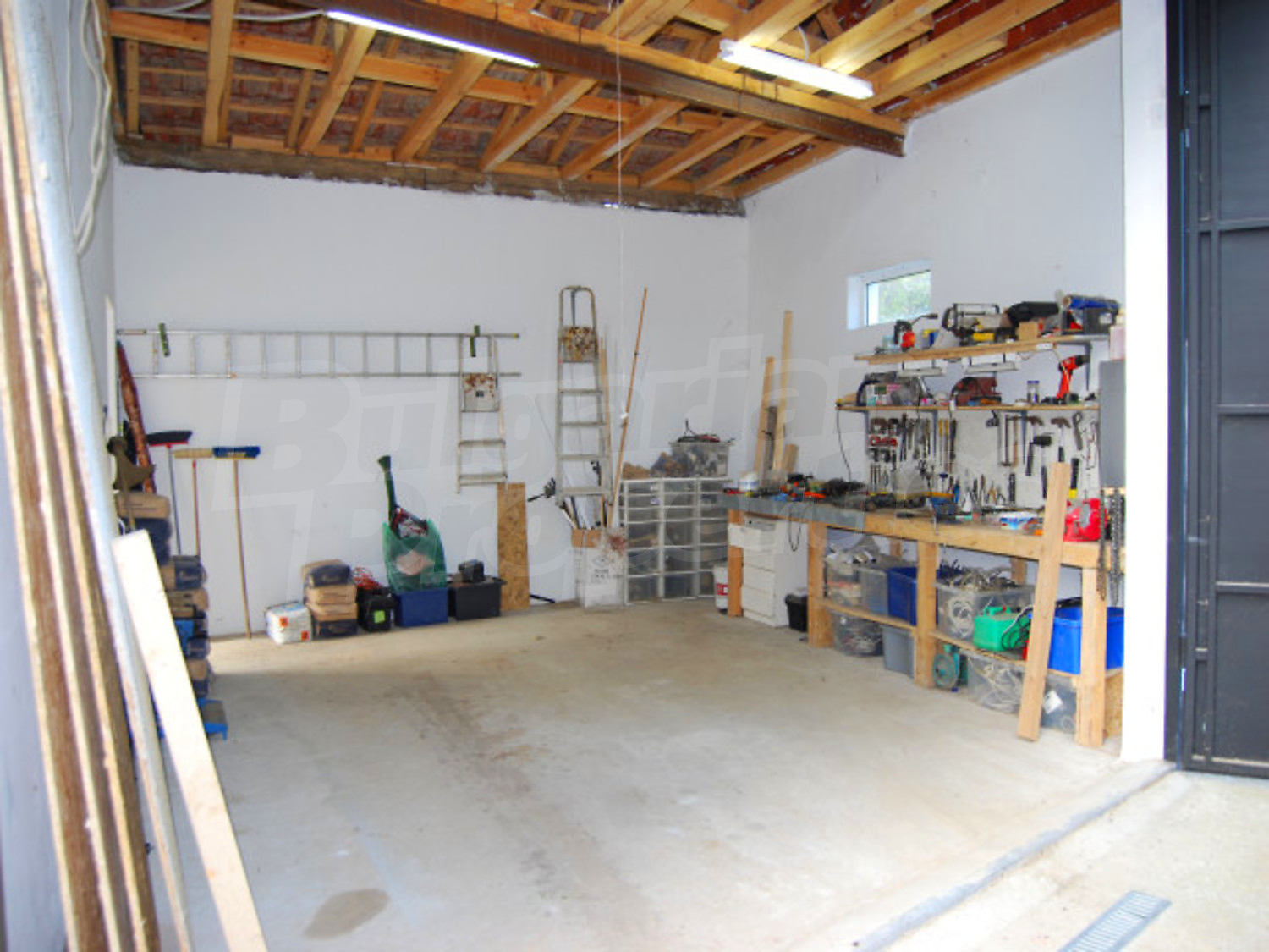Gallery Picture 37