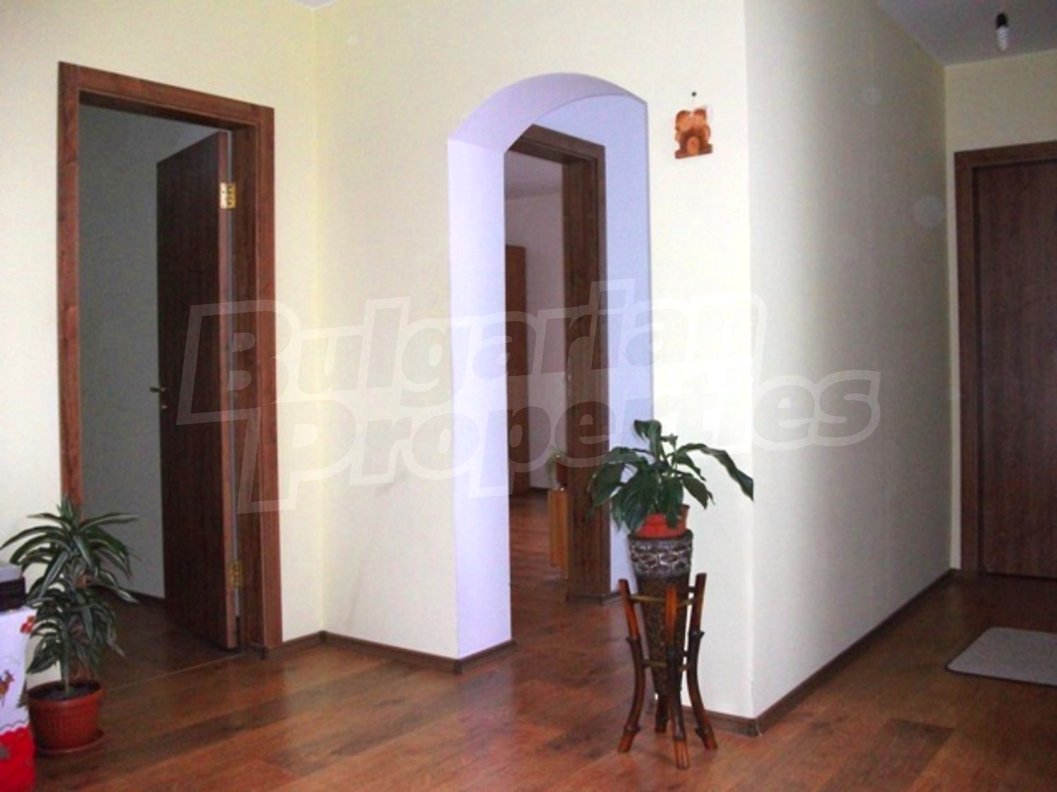 Gallery Picture 15