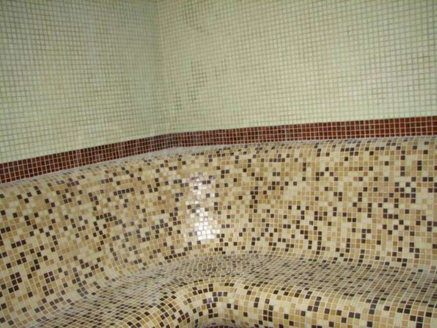 Gallery Picture 10