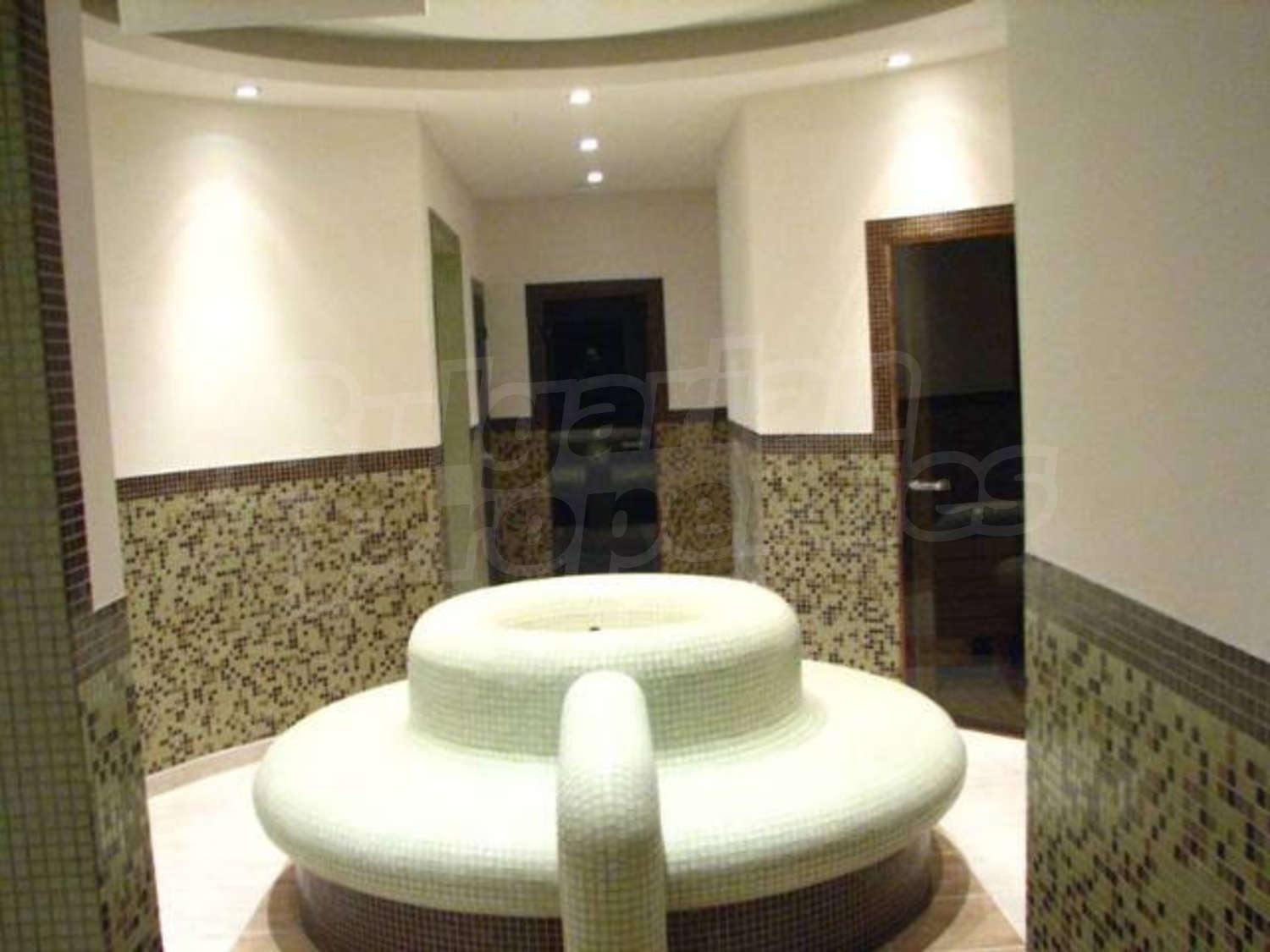 Gallery Picture 13