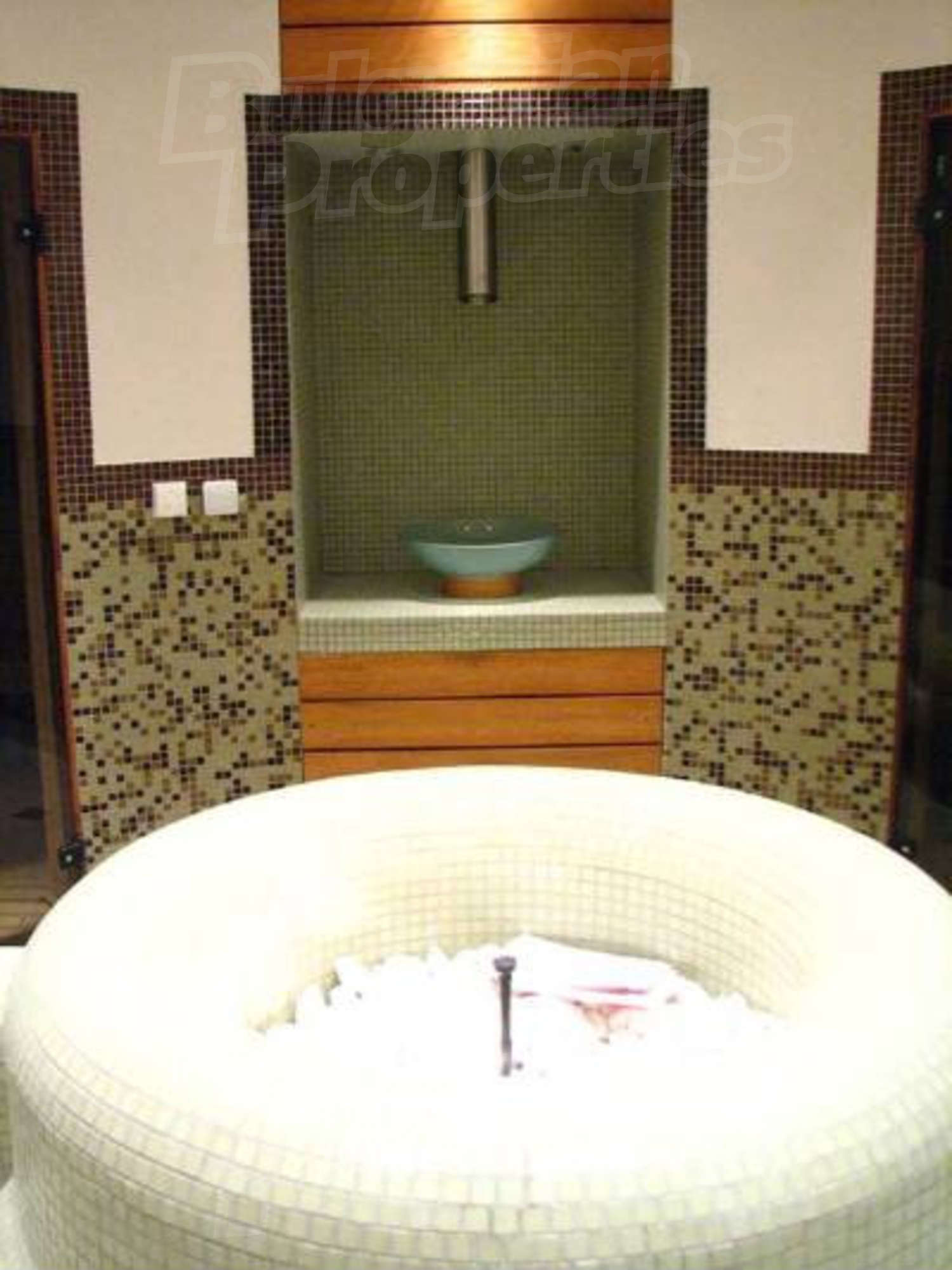 Gallery Picture 14