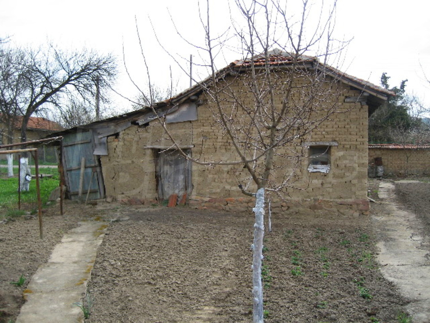Gallery Picture 11