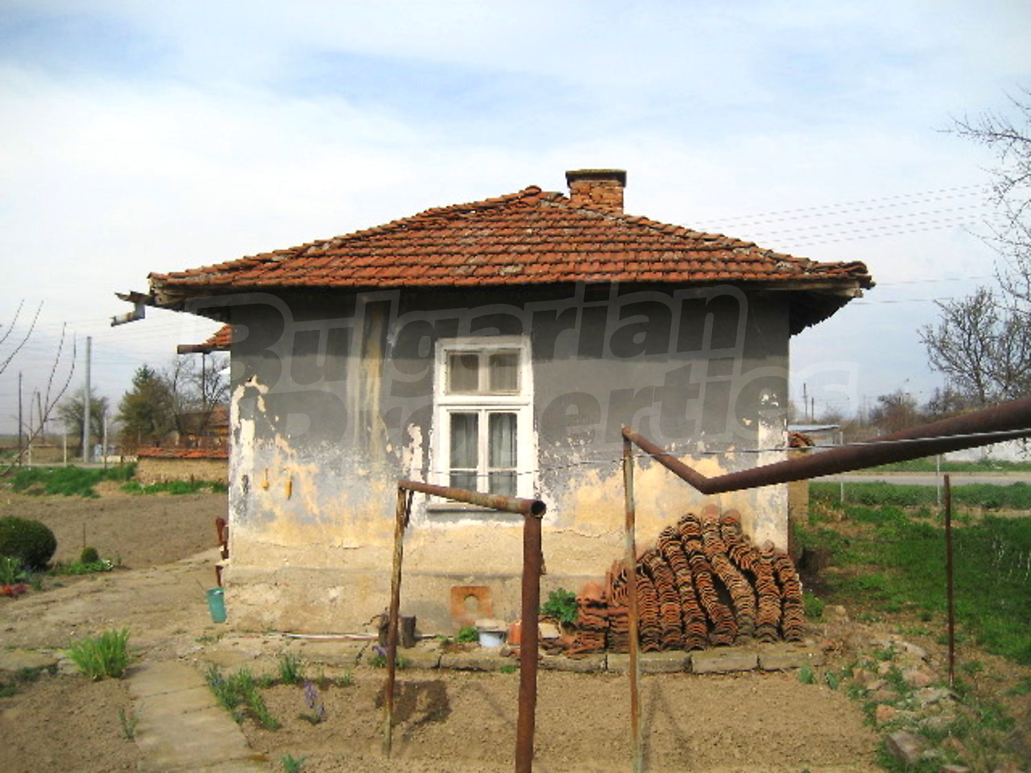 Gallery Picture 14