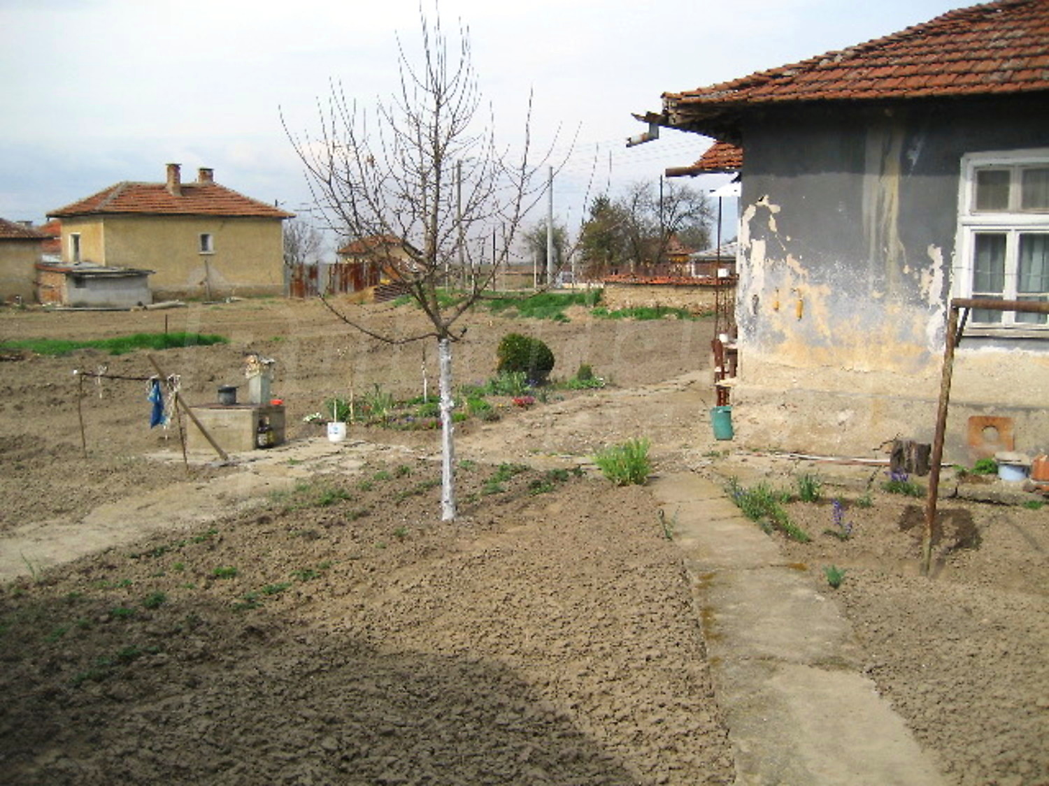Gallery Picture 15