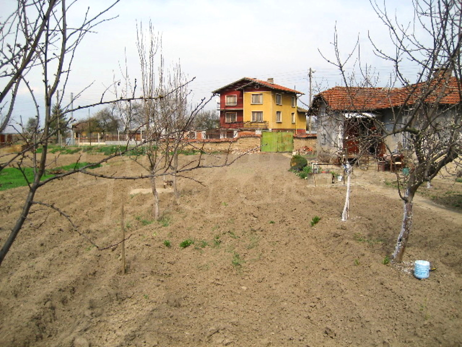 Gallery Picture 16