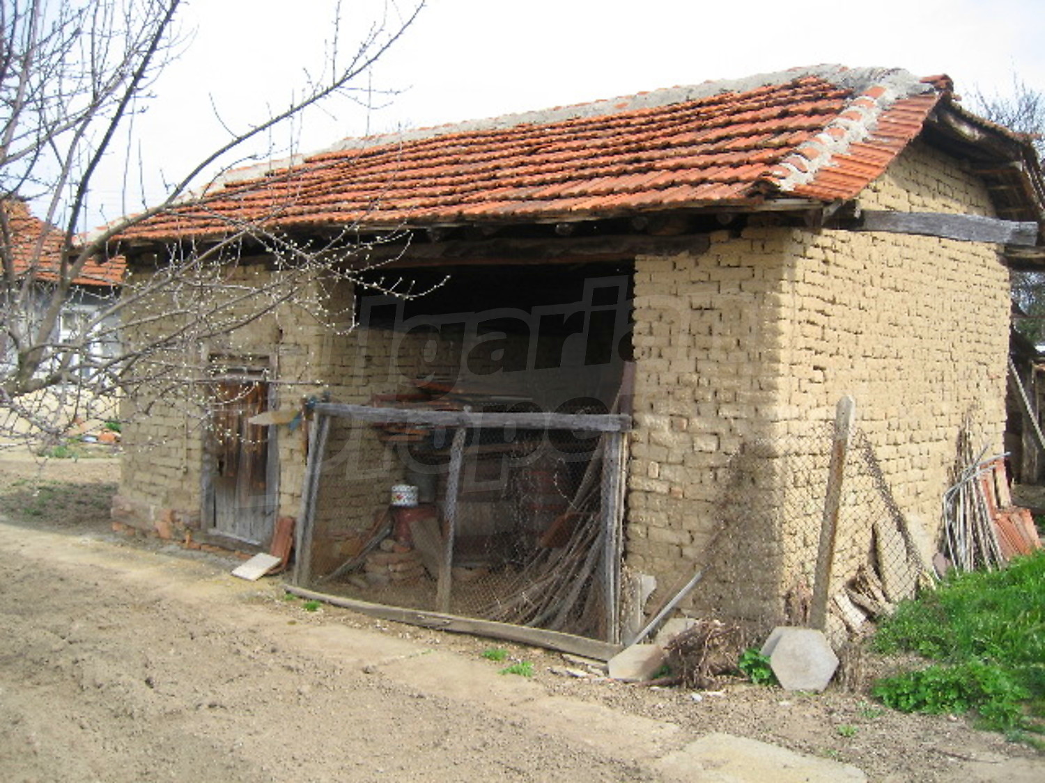Gallery Picture 17