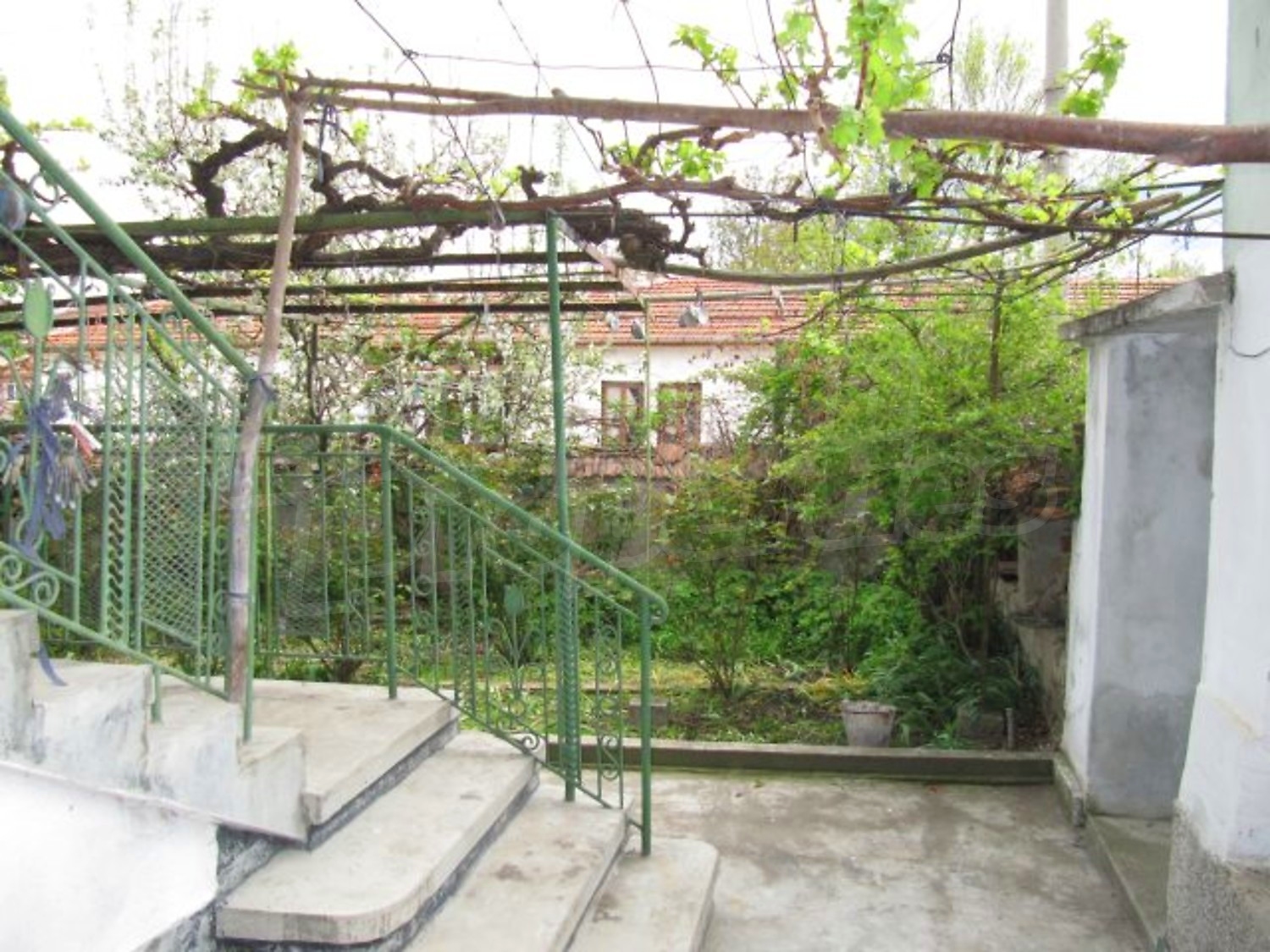 Gallery Picture 10
