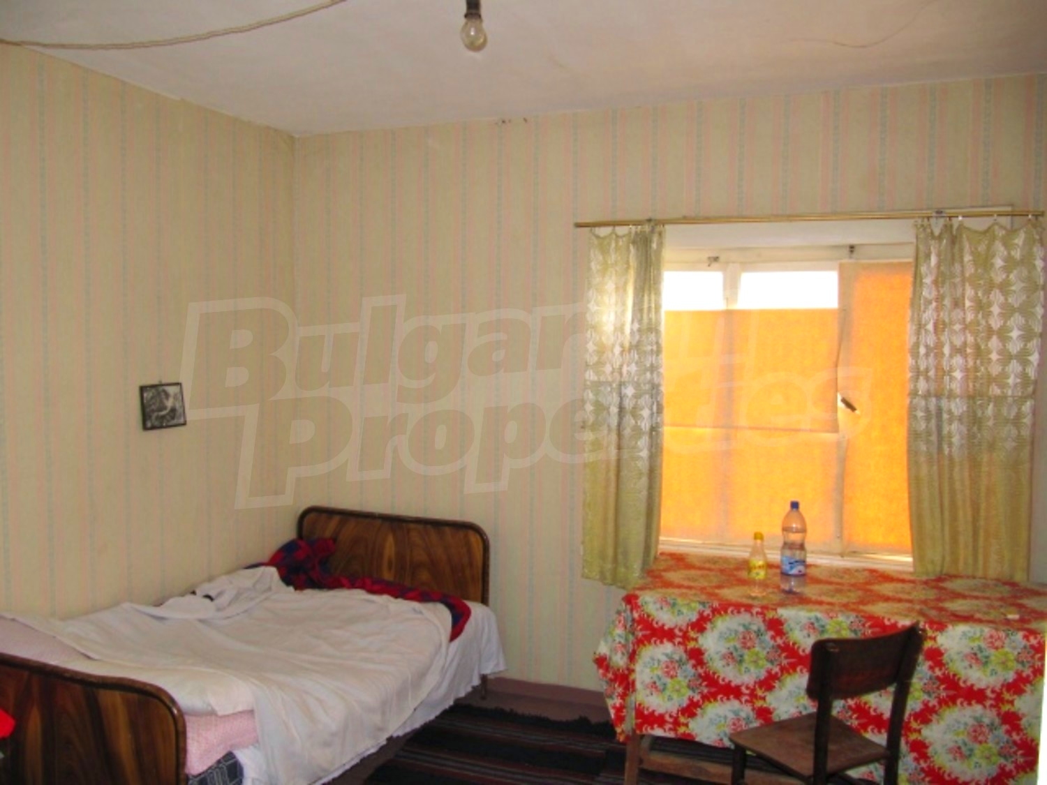 Gallery Picture 15