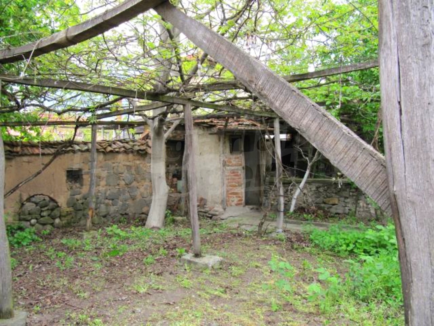 Gallery Picture 17