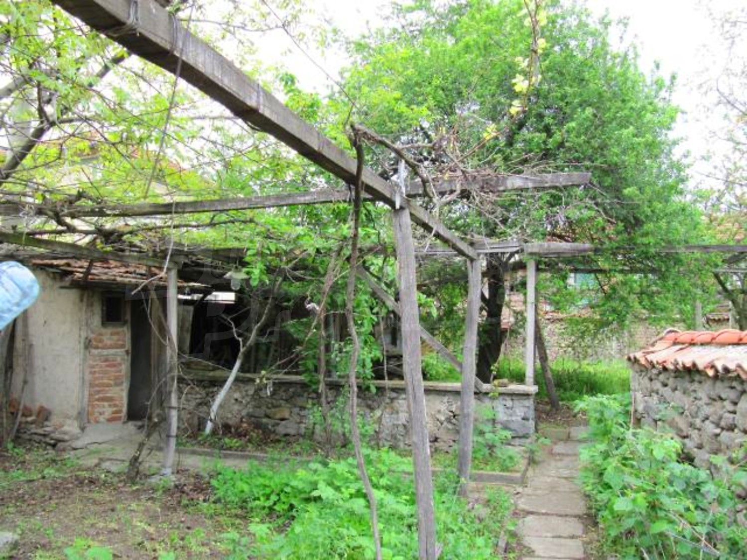 Gallery Picture 18
