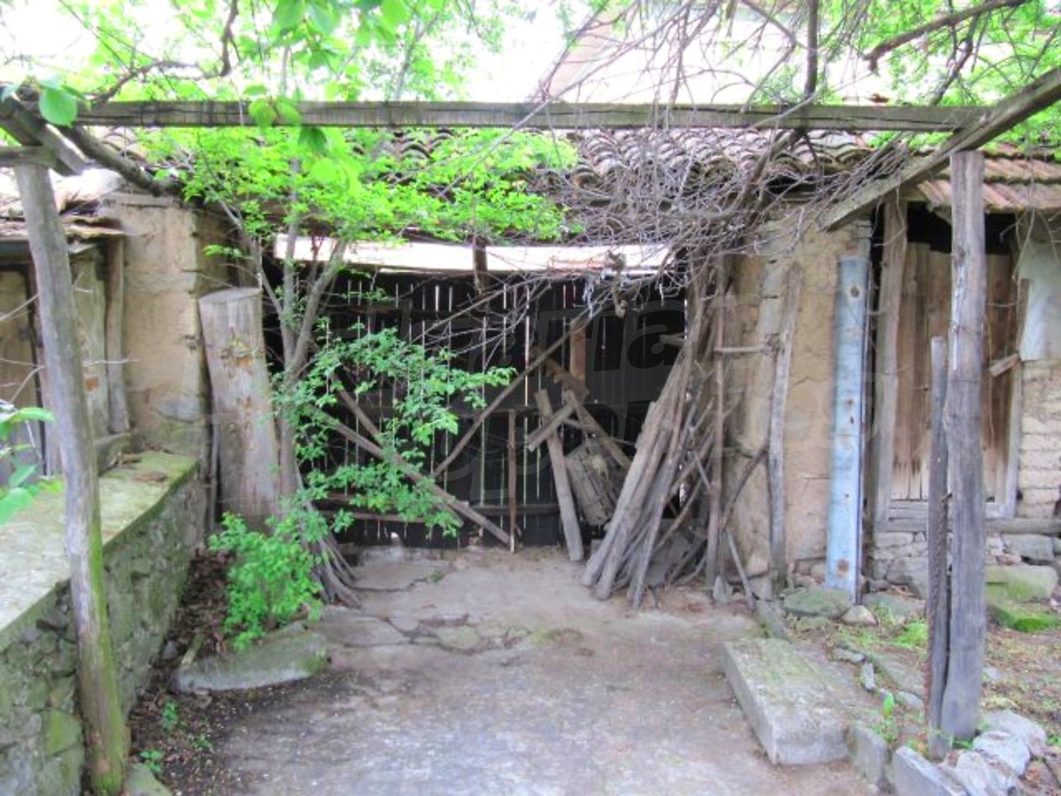 Gallery Picture 19
