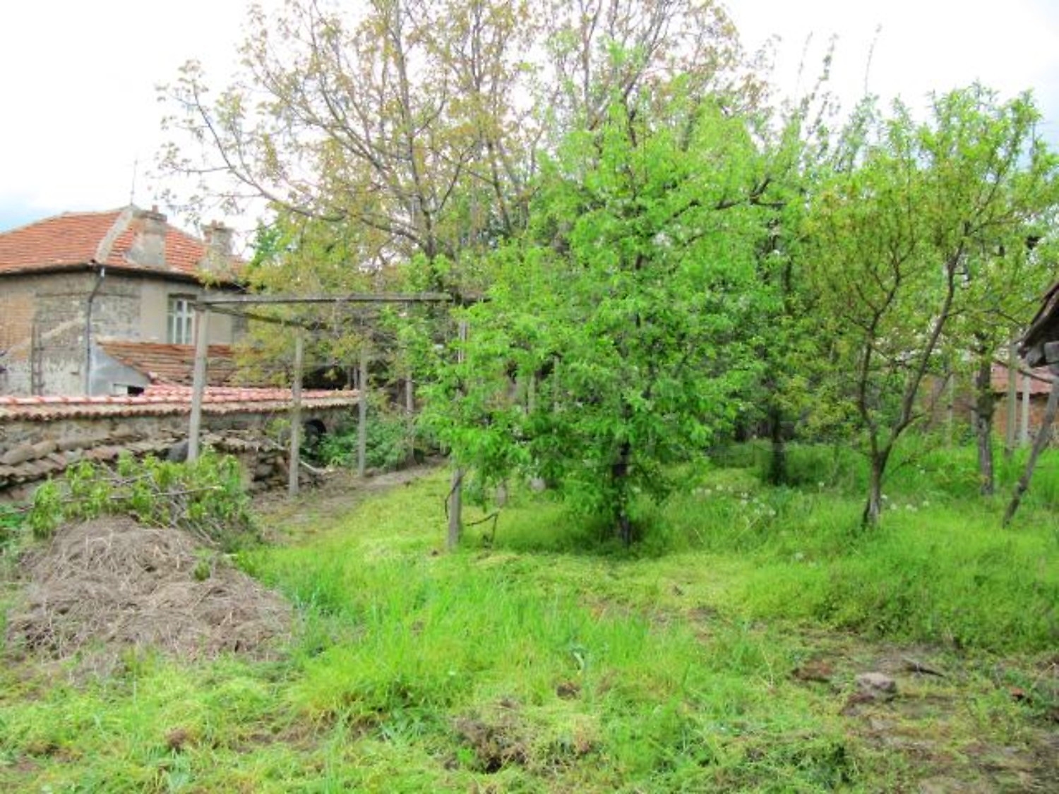 Gallery Picture 24