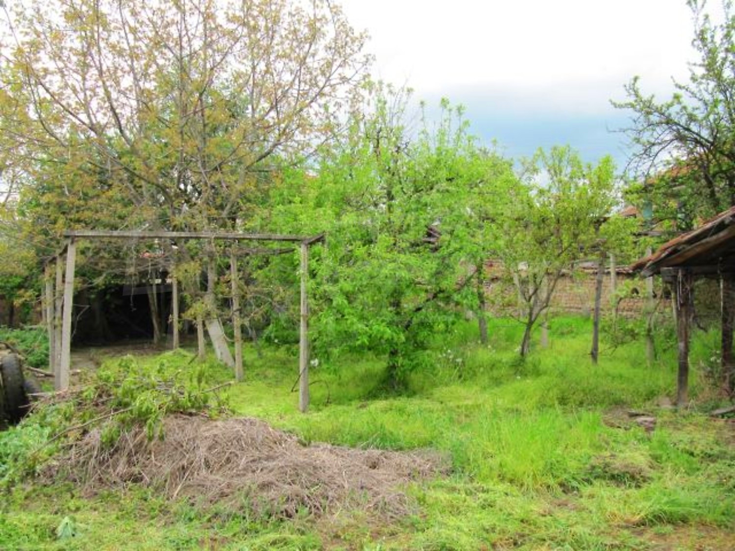 Gallery Picture 25