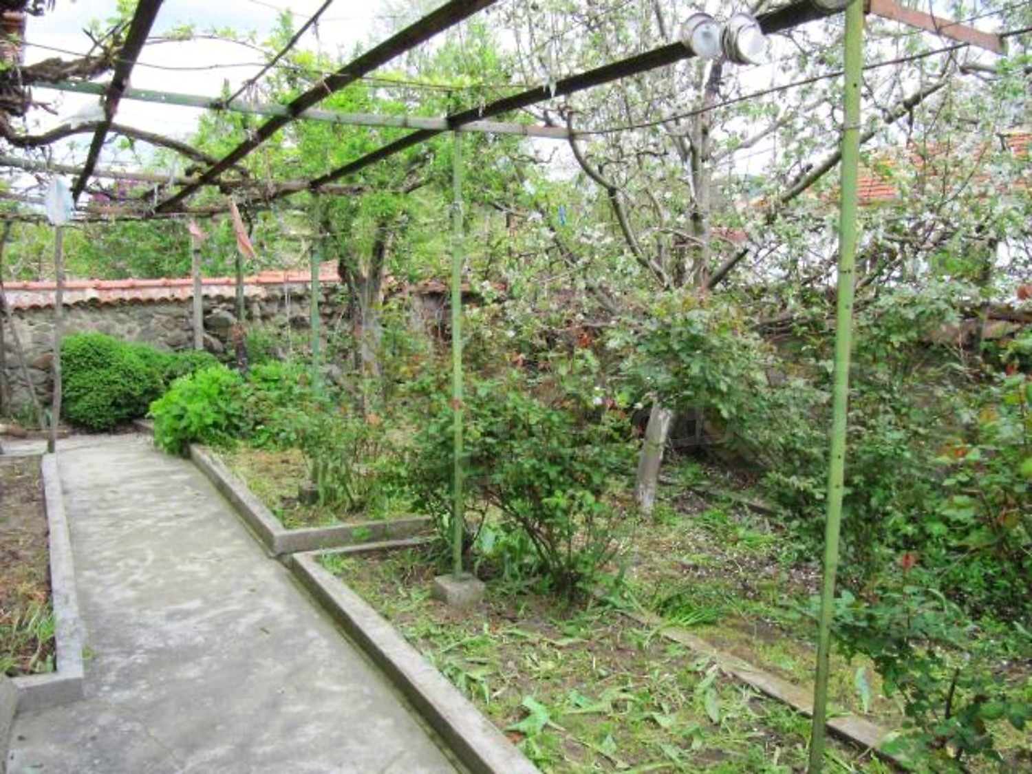 Gallery Picture 3