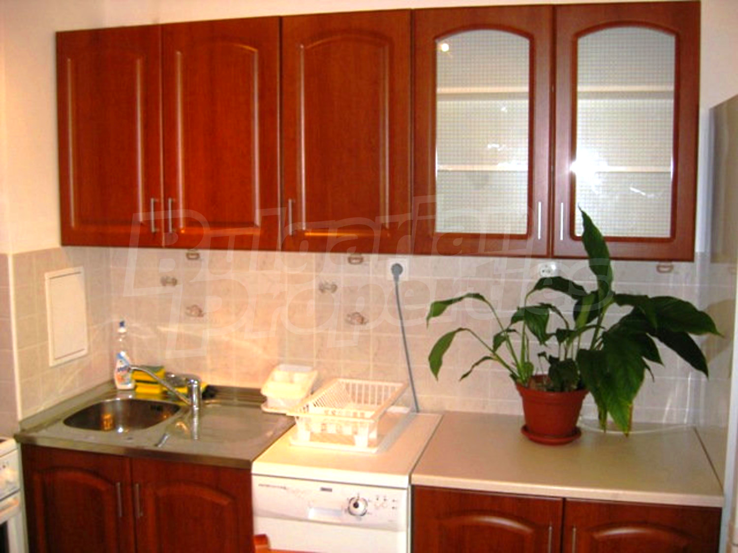 Gallery Picture 11