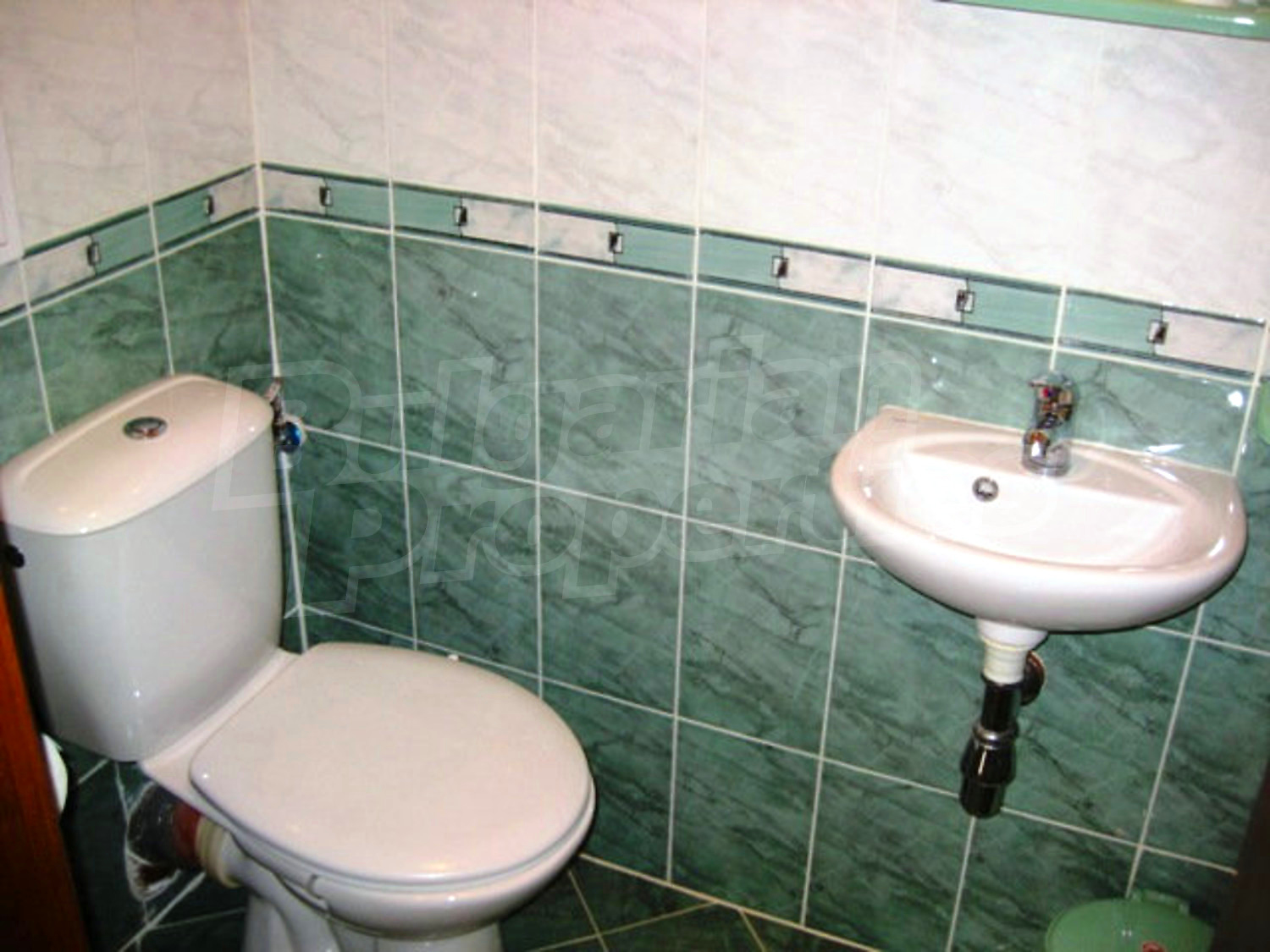 Gallery Picture 26