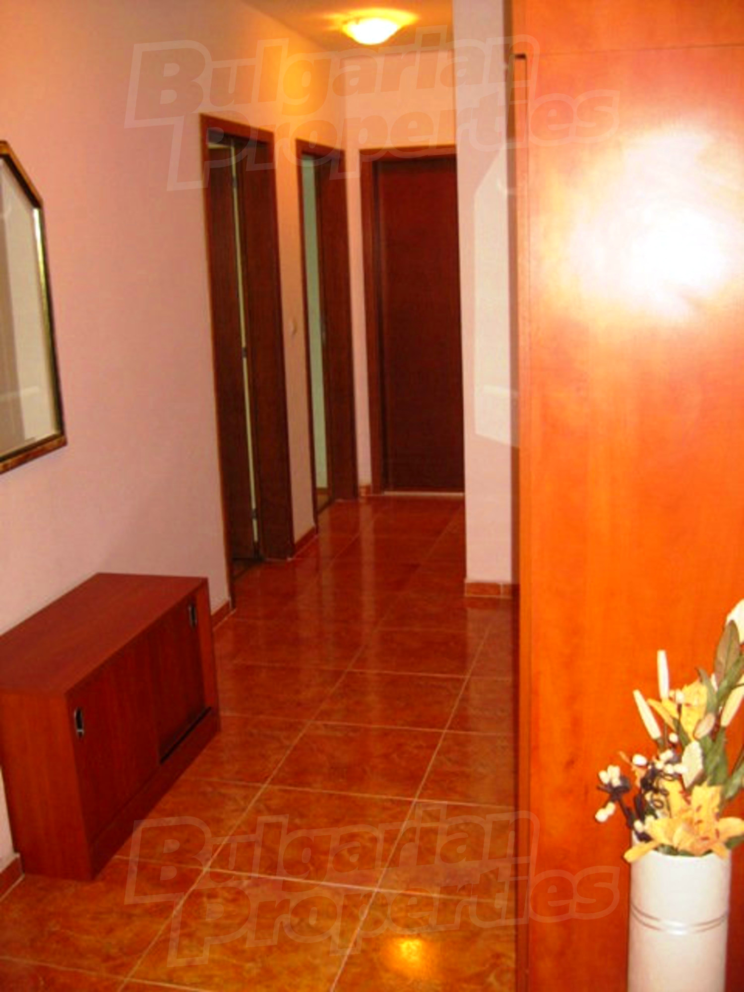 Gallery Picture 37