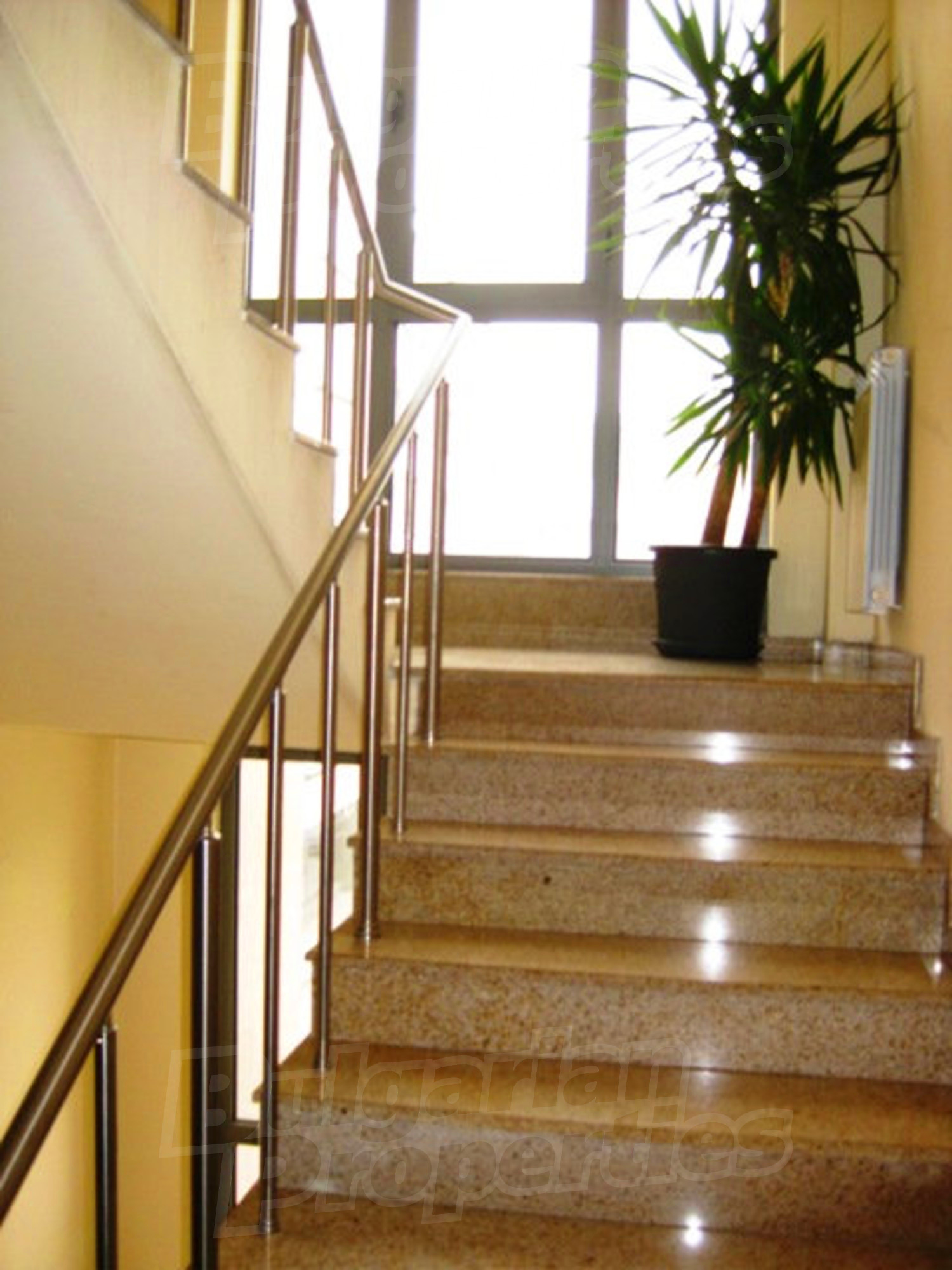 Gallery Picture 41