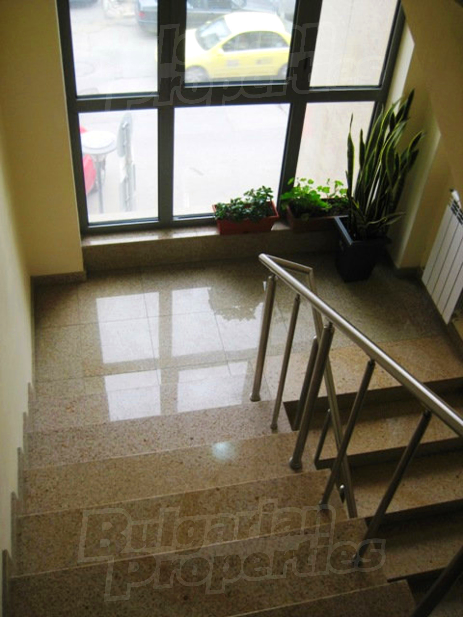 Gallery Picture 42