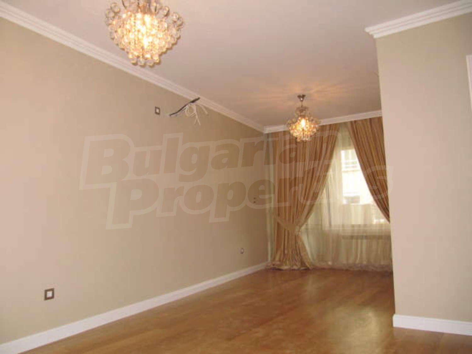 Gallery Picture 13