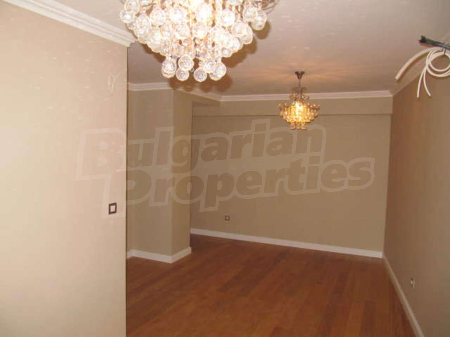 Gallery Picture 14
