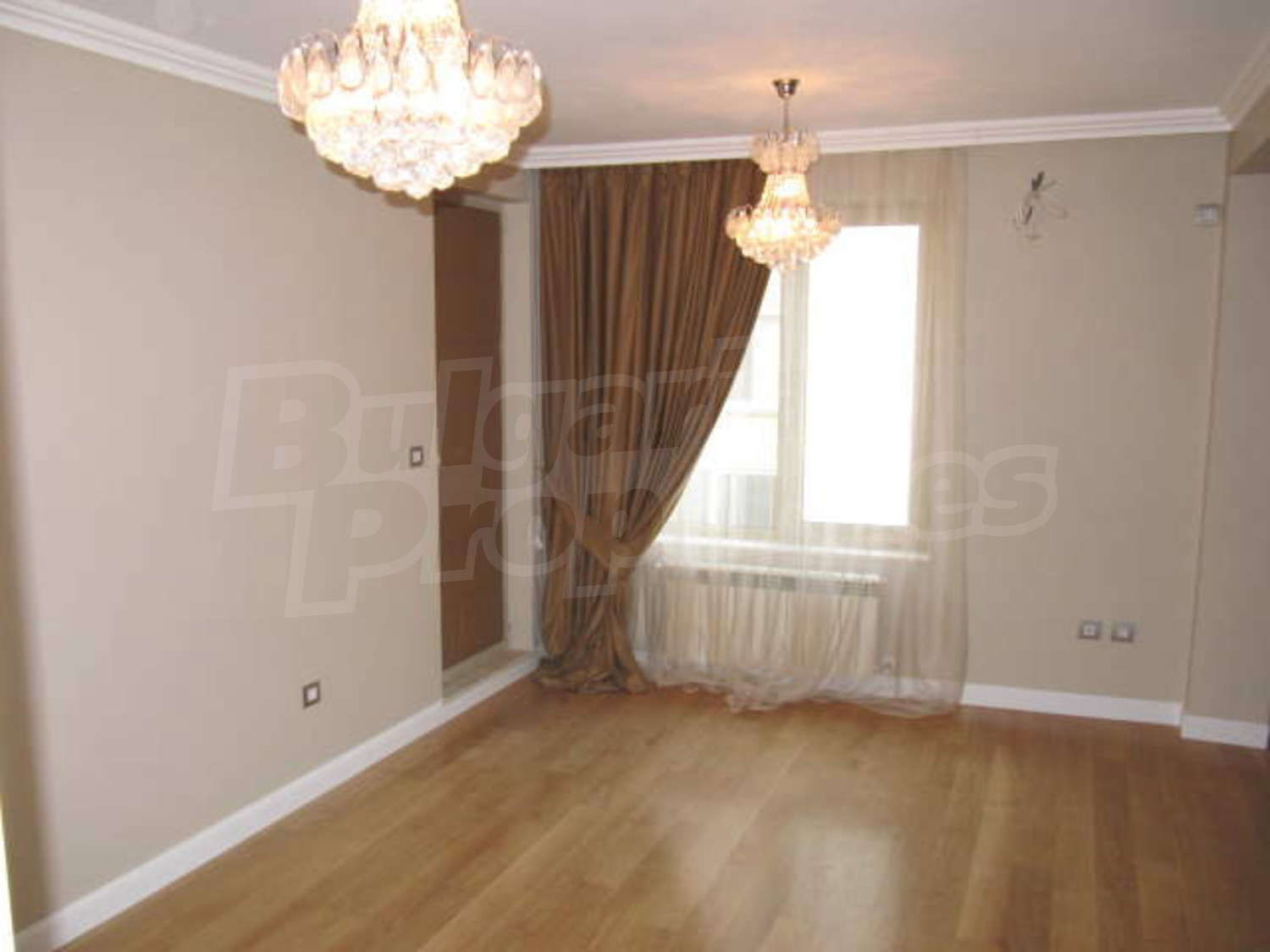 Gallery Picture 15