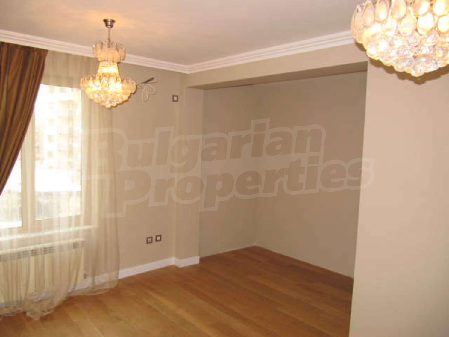 Gallery Picture 16